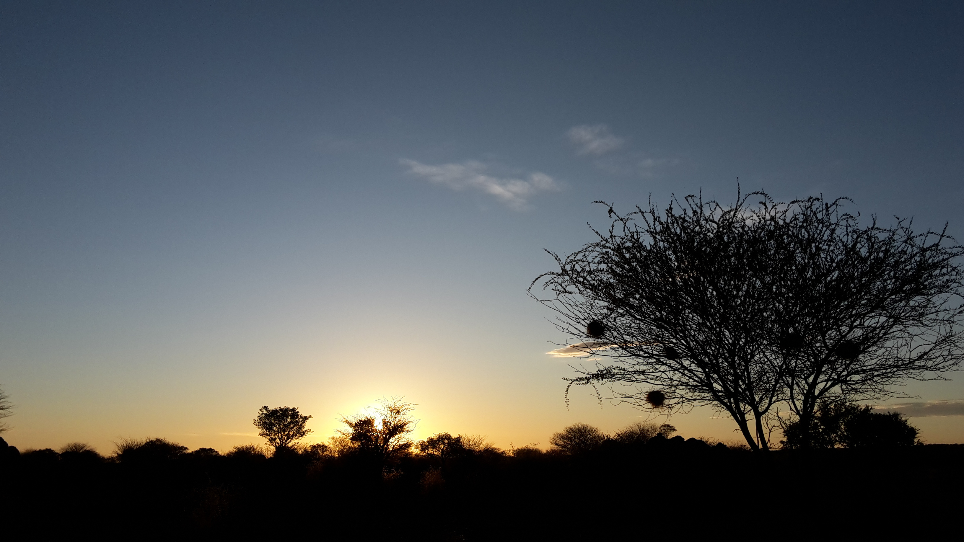 Sunset Bush Namibia